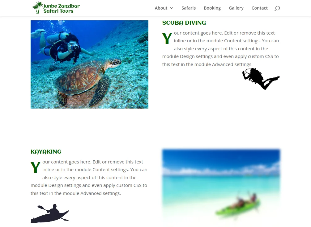 Junbe Safari Website Design - Section 2