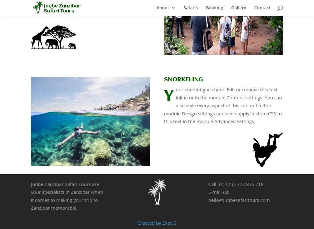 Junbe Safari Website Design - Section 4