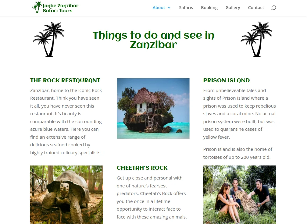 Junbe Safari Website Design - Section 8